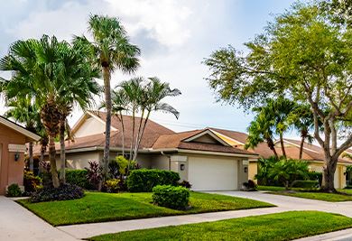 Residential Pest Control