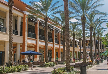 Commercial Pest Control